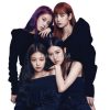 flat750x075f pad750x1000f8f8f8 1 - Black Pink Merch