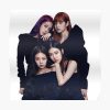 poster504x498f8f8f8 pad600x600f8f8f8 1 - Black Pink Merch